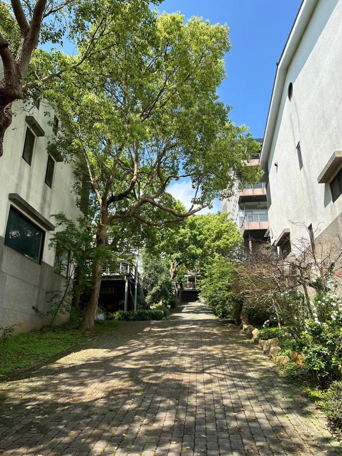 Miaoli Sanyi Travelling Homestay Dış mekan fotoğraf